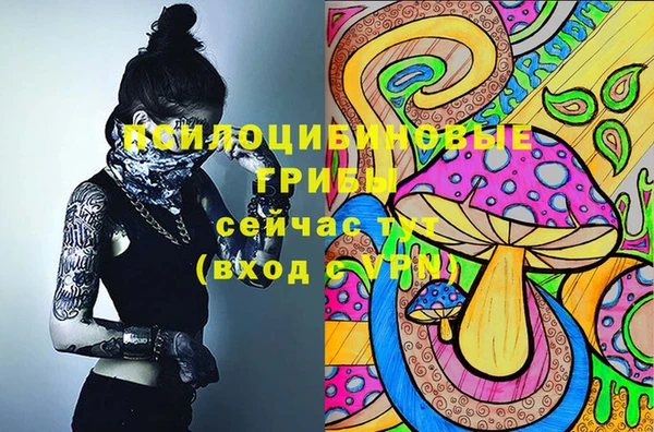 хмурый Богородск