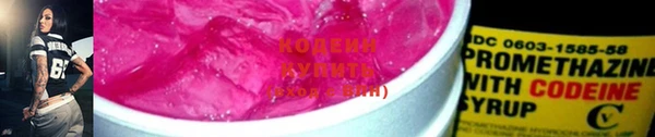 хмурый Богородск