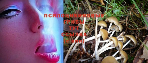 mdma Богданович